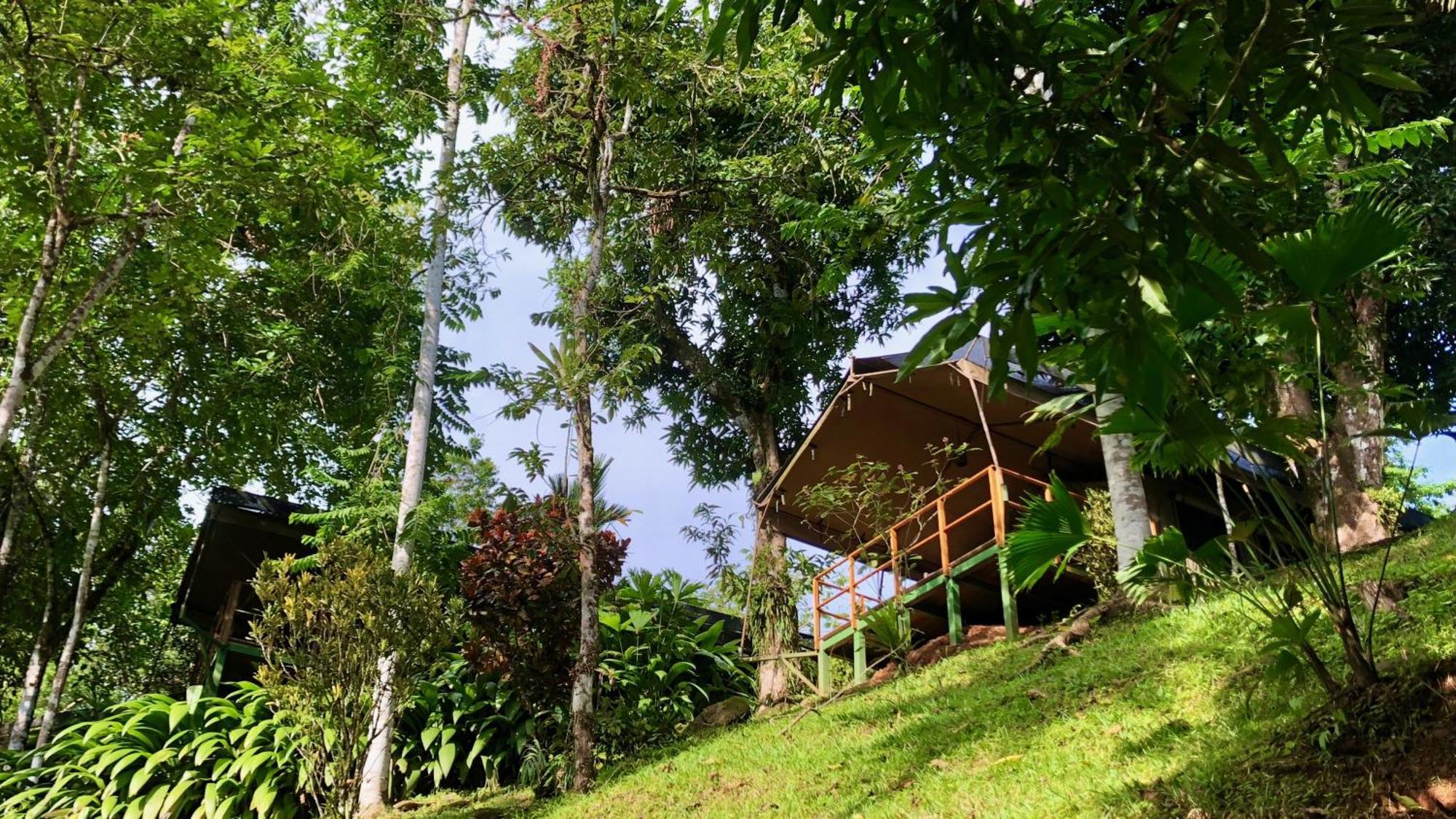 Rio Tico Safari Lodge Punta Mala Exterior photo